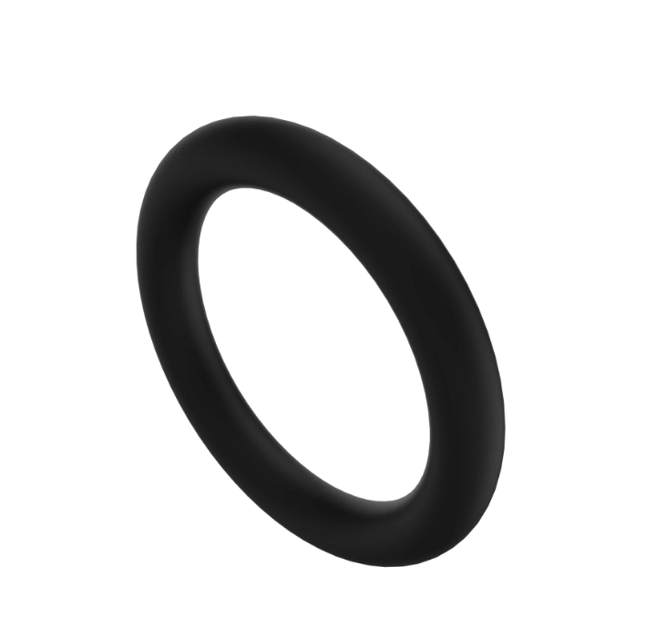 O-Ring Seal