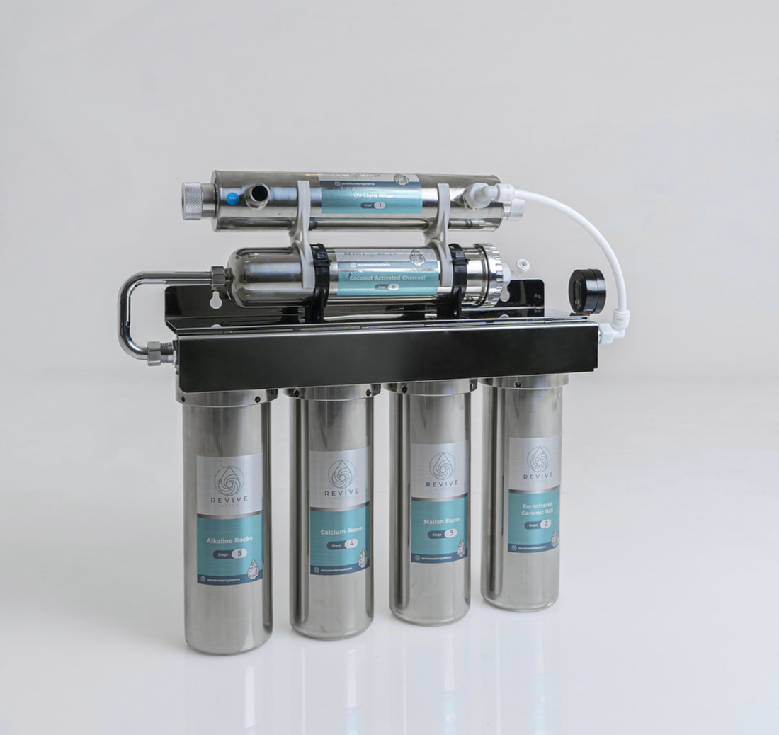 Revive System - XL
