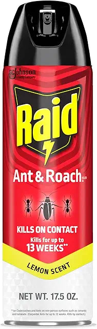 Raid Ant & Road