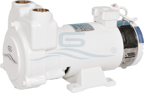 Gianneschi Fuel Transfer Pump 24V